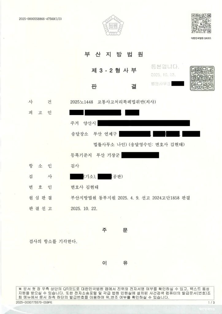 울산교통사고사망변호사 사례 - 야간 도로 중앙 보행자 충돌 사건 핵심 증거 자료 1